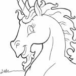 Raskrasil.com-Unicorns-82