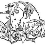 Raskrasil.com-Unicorns-85