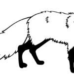 Raskrasil.com-Wild-Animals-16