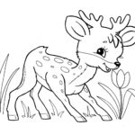 Raskrasil.com-Wild-Animals-17