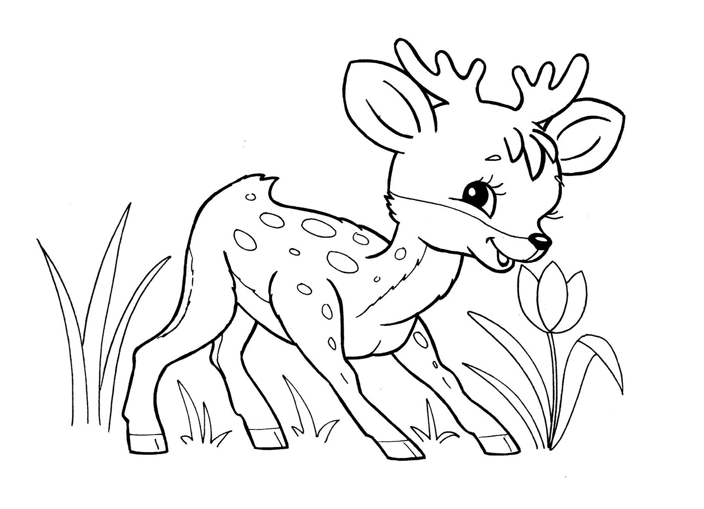 coloring pages for kids of wildlife