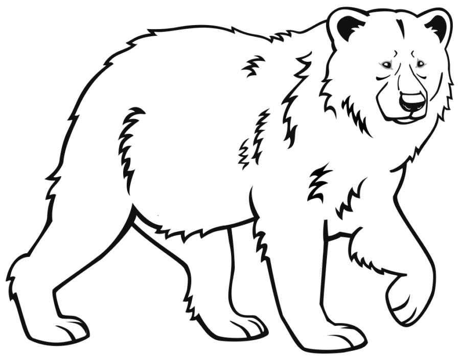 Wild Animals Coloring Pages | 70 images Free Printable