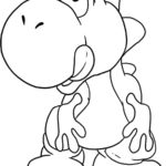 Raskrasil.com-Yoshi - 12