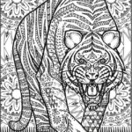 Raskrasil.com-adults -50