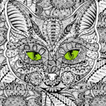 Raskrasil.com-adults -56