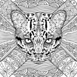 Raskrasil.com-adults -60
