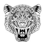 Previous Attachment
