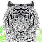 Raskrasil.com-adults -64