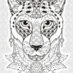Raskrasil.com-adults -73