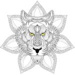 Raskrasil.com-adults -80
