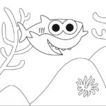 Raskrasil.com-baby shark-10