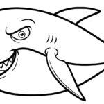Raskrasil.com-baby shark-18