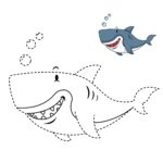 Raskrasil.com-baby shark-32