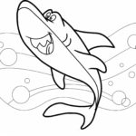 Raskrasil.com-baby shark-78