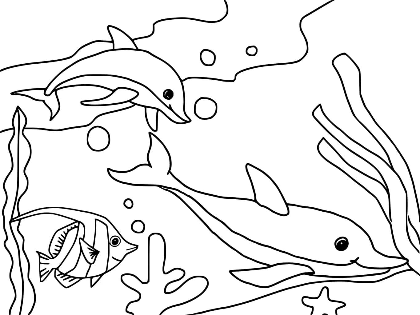 Dolphins Coloring Pages. 100 Pictures Free Printable