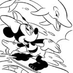 Raskrasil.com-dolphins-101