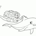 Raskrasil.com-dolphins-102