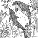 Raskrasil.com-dolphins-105