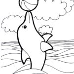 Raskrasil.com-dolphins-106