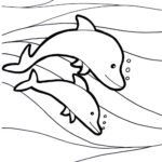 Raskrasil.com-dolphins-107