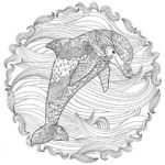 Raskrasil.com-dolphins-110