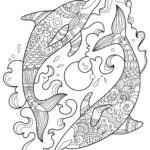 Raskrasil.com-dolphins-111