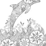 Raskrasil.com-dolphins-118