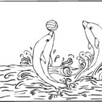 Raskrasil.com-dolphins-12