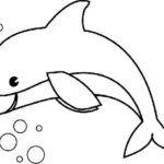Raskrasil.com-dolphins-15