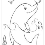Raskrasil.com-dolphins-17
