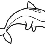 Raskrasil.com-dolphins-2