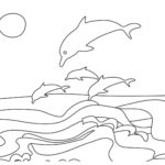 Raskrasil.com-dolphins-25
