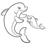 Raskrasil.com-dolphins-26