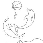 Raskrasil.com-dolphins-28