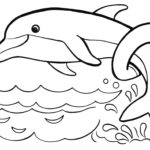 Raskrasil.com-dolphins-3