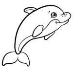 Raskrasil.com-dolphins-34