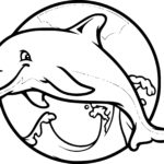 Raskrasil.com-dolphins-35