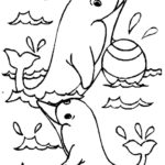 Raskrasil.com-dolphins-36