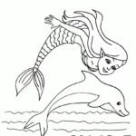Raskrasil.com-dolphins-37