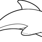 Raskrasil.com-dolphins-4