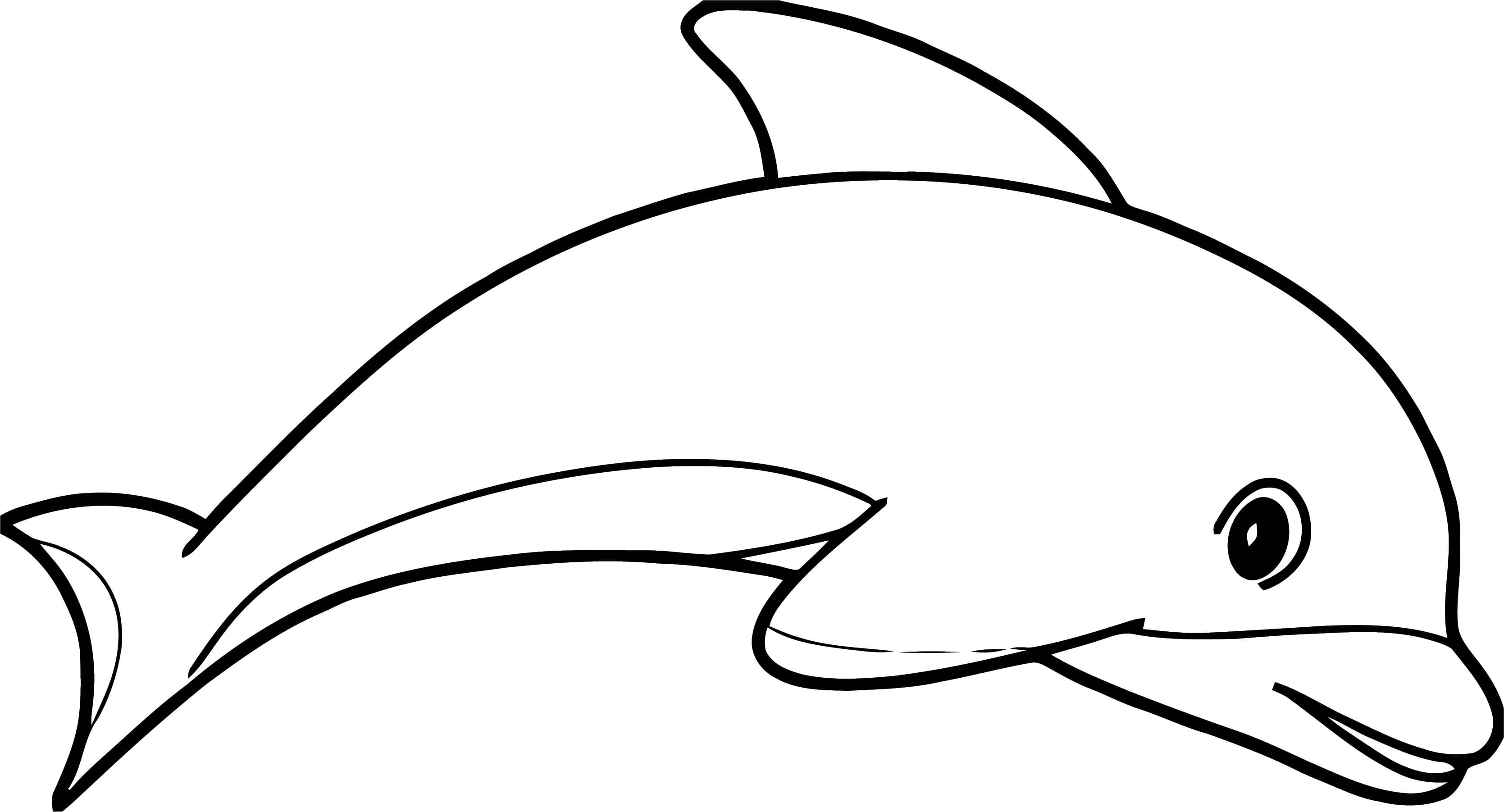 Раскраски дельфины для детей - Распечатайте бесплатно