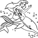 Raskrasil.com-dolphins-41