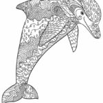 Raskrasil.com-dolphins-42