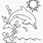 Raskrasil.com-dolphins-43
