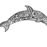 Raskrasil.com-dolphins-47
