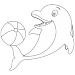 Raskrasil.com-dolphins-51