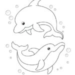 Raskrasil.com-dolphins-53