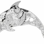 Raskrasil.com-dolphins-55