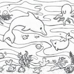 Raskrasil.com-dolphins-57