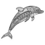 Raskrasil.com-dolphins-62